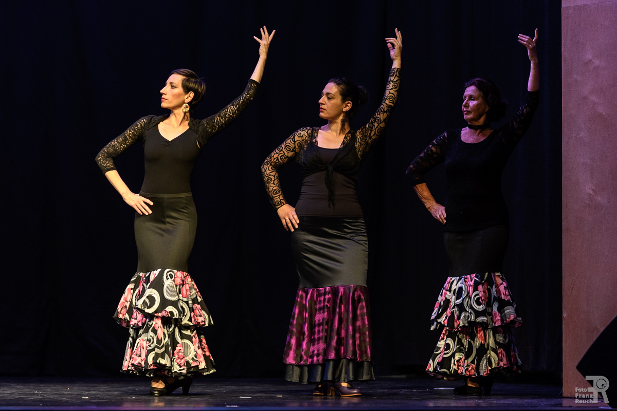 Flamenco-Fortgeschritten