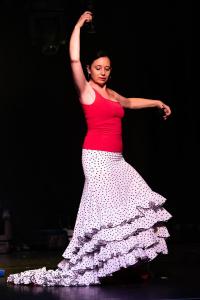 Noche flamenca 2022