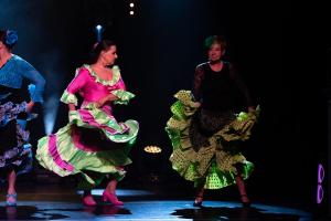Noche flamenca 2022