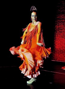 Flamenco033 - Kopie   